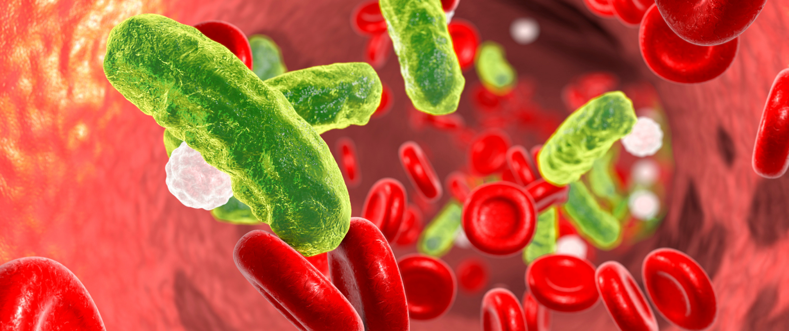 Blut Sepsis