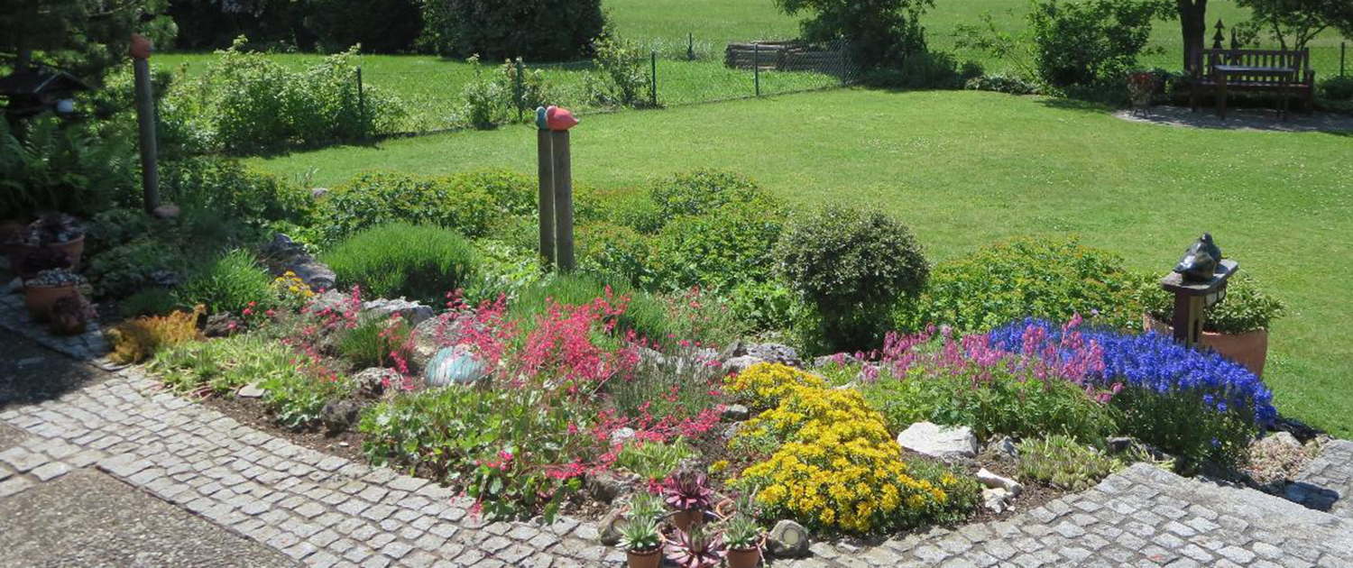 Blumen blühen im Garten
